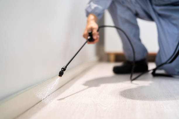 Professional exterminator conducting IPM assessment in Earlysville