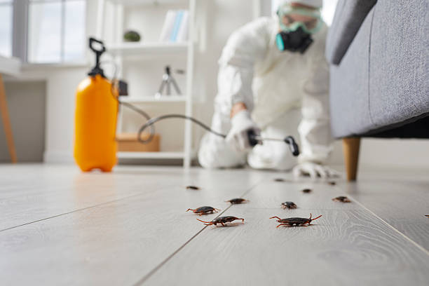 Post-Treatment Bed Bug Interceptor Monitoring in Earlysville