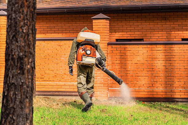 Bed Bug Clearance Verification and Documentation in Earlysville